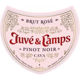 Juve & Camps Cava Brut Pinot Noir Rose