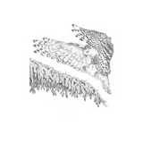 Kelley Fox Chardonnay Willamette Valley