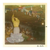 La Onda Aguafiestas Red Blend