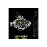 Lammidia Zeus Faber