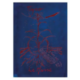 Le Masse Toscana Timeo