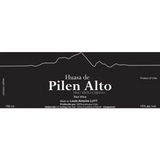 Louis-Antoine Luyt Huasa de Pilen Alto
