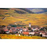 Lucien Albrecht Gewurztraminer Reserve Alsace 2019