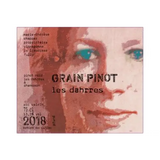 Marie-Therese Chappaz Grain Pinot Les Dahrres