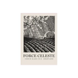 Mother Rock Chenin Blanc Force Celeste Swartland
