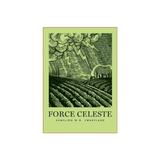 Mother Rock Semillon Force Celeste Swartland