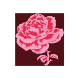 Old World Winery Bloom