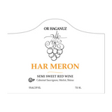 Or Haganuz Har Meron