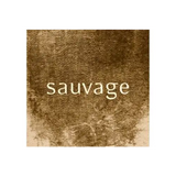 Pascal Jolivet Sancerre Blanc Sauvage