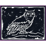 Phelan Farm Nithya Massa Vineyard Carmel Valley