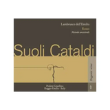Podere Giardino Lambrusco dell’Emilia Rosso Suoli Cataldi Metodo Ancestrale