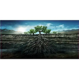 Proyecto Garnachas de Espana La Garnacha Salvaje del Moncayo
