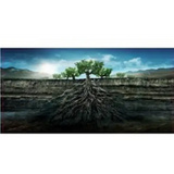 Proyecto Garnachas de España Ribera del Queiles La Garnacha Salvaje de Moncayo