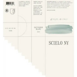 RGNY Scielo Sauvignon Blanc