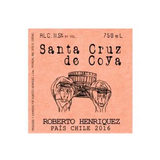 Roberto Henriquez Santa Cruz de Coya