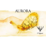 Salvo Foti-I Vigneri Etna Bianco Aurora Caselle