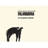 San Salvatore Campania Falanghina
