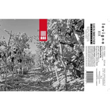 Santuvario Lavigna Vino Rosso