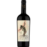 Scarlet Vine Cabernet Sauvignon Selected Hillside Vineyards Maipo Valley