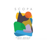 Scopa Delle Venezie Pinot Grigio