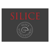 Silice Viticultores Silice Finca Rosende