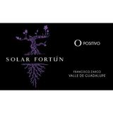 Solar Fortun Valle de Guadalupe O Positivo