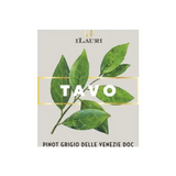 Tavo Pinot Grigio
