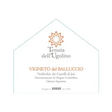 Tenuta dell'Ugolino Verdicchio Dei Castelli Di Jesi Classico Superiore Vigneto Del Balluccio