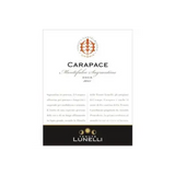 Tenute Lunelli Carapace Montefalco Sagrantino