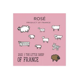The Little Sheep Rose