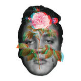 The Wonderland Project Wonderland Ranch Rose