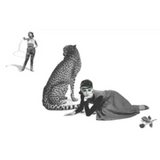 The Wonderland Project Red Wine Co-Fermented Wonderland Ranch Sonoma County