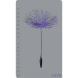 Tilth Cabernet Sauvignon Rutherford 2019