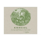 Trefethen Family Vineyard Eshcol Napa Valley Chardonnay