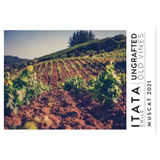 Ungrafted Old Vines Muscat