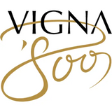 Vigna 800 Amarone della Valpolicella Bieti Classico