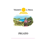 Vigneti a Prua Riviera Ligure di Ponente Pigato