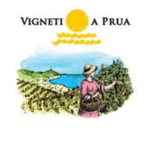 Vigneti a Prua Riviera Ligure di Ponente Pigato Late Harvest 2015