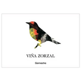Vina Zorzal Garnacha