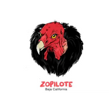 Vinas Del Tigre Cabernet Sauvignon Zopilote Valle de Guadalupe