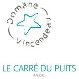 Vincendeau Anjou Le Carre Du Puits