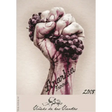Viñedo de los Vientos Atlàntida Tannat Anarkia