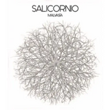 Vinessens - Casa Balaguer Malvasia Salicornio White Alicante