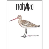 Vinificate Mahara Aguja Colipinta Cádiz