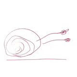 Vinyes Singulars Rose