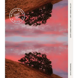 Woods Beer Zinfandel Capo Creek Vineyard