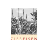 Ziereisen Syrah Jaspis 10 Hoch 4