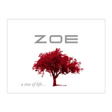 Zoe Red Wine