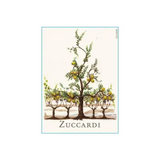 Zuccardi Semillon Finca Los Membrillos Paraje Altamira