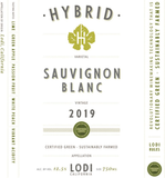 Hybrid Sauvignon Blanc